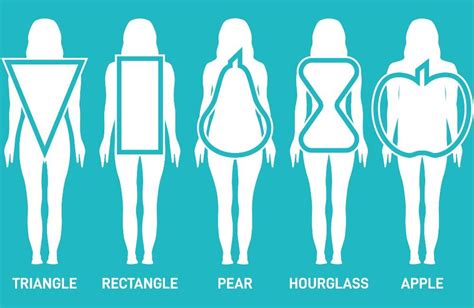 Shapes With Body