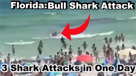 shark attacks in florida