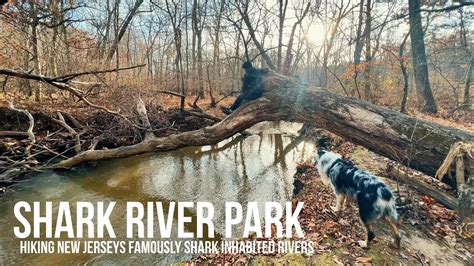 Shark River Park