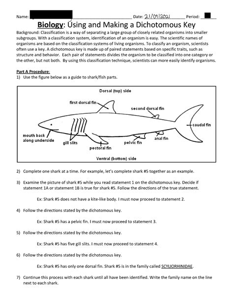Download Shark Key Lab Answers 