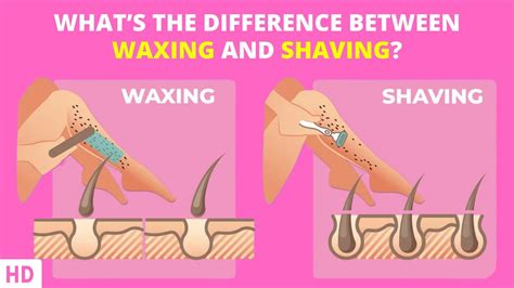 Shaving The Inside Of Your Skull Crazy Wisdom For