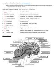 sheep brain dissection analysis answers