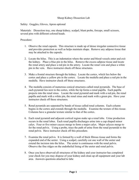 Sheep Kidney Dissection Lab Report Answers