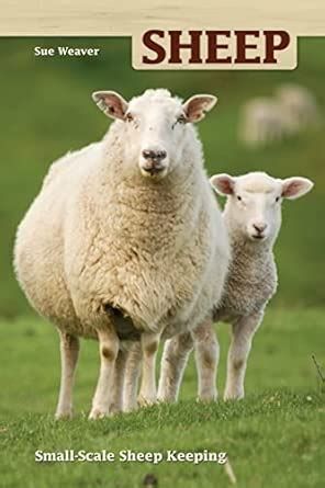 Sheep Small Scale Sheep Keeping Hobby Farm