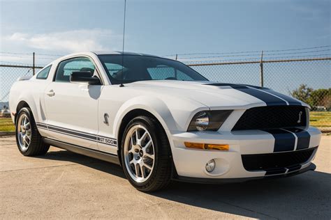 shelby - ford mustang shelby