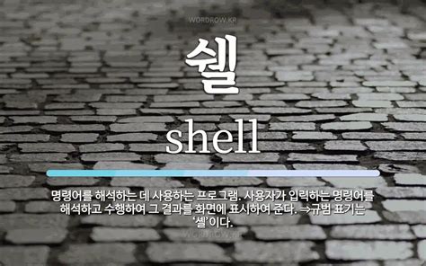 shell 뜻