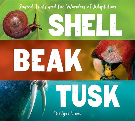 Shell, Beak, Tusk: Shared Traits And The Wonders Of Adaptation