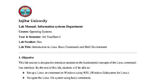 shell environment manual