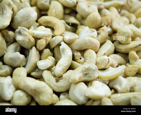 Shelled Cashew Nuts