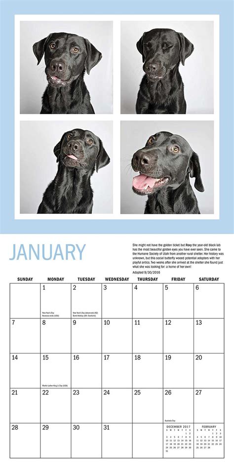 Download Shelter Dogs In A Photo Booth 2018 Wall Calendar 