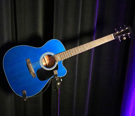 Shepherd Guitar