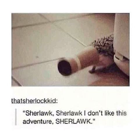 sherlawk