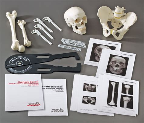 Sherlock Bones Identification Of Skeletal Remains