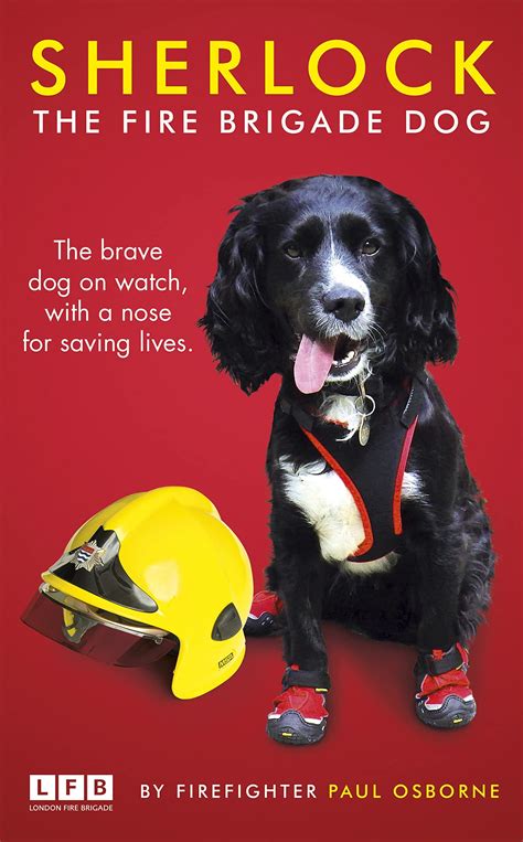 sherlock the fire brigade dog