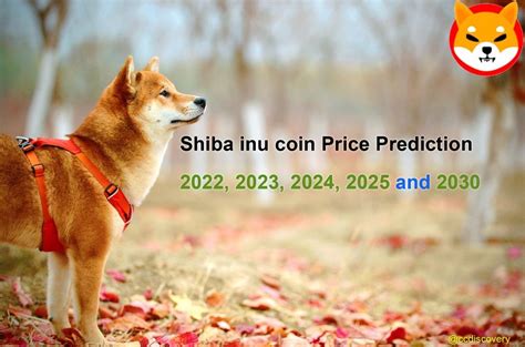 Shiba Inu Shib Price Prediction 2023 2024 2025 Shiba Inu Coin Ka Future Kya Hai - Shiba Inu Coin Ka Future Kya Hai