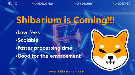 shibarium-1