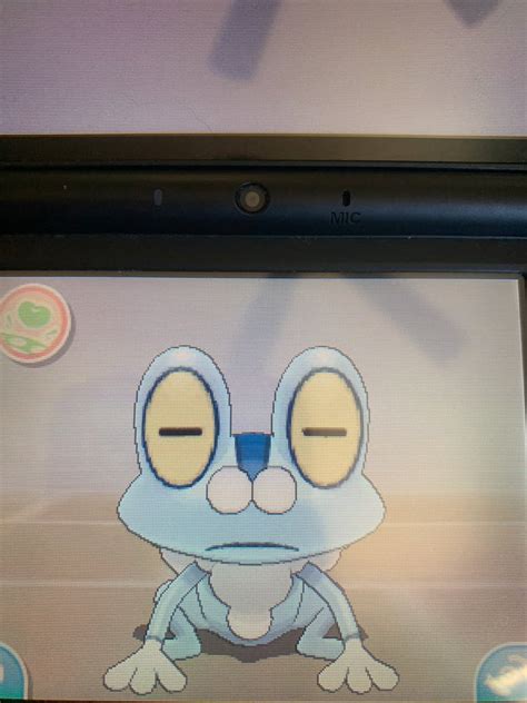 Shiny Frog Serial