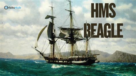 Ship Hms Beagle