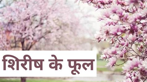 Shirish Ke Phool