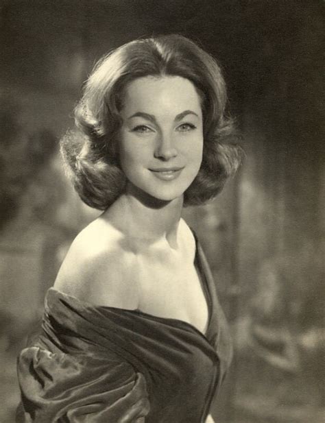 shirley anne field biography for kids