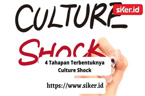 shock culture adalah