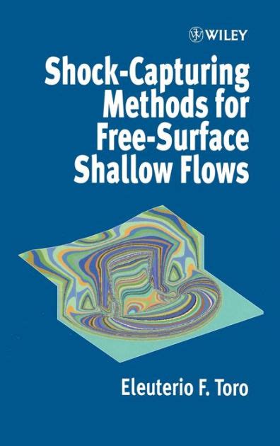 Read Online Shock Capturing Methods Free Surface Shallow Flows 