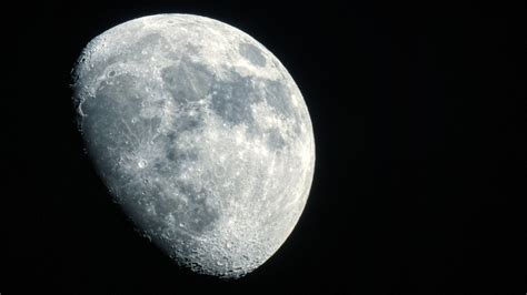 Shoot For The Moon