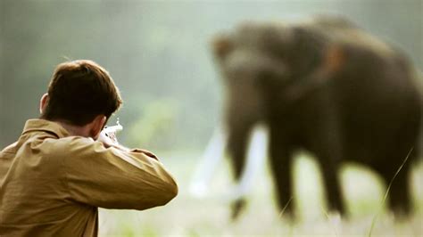 Shooting Of Elephant