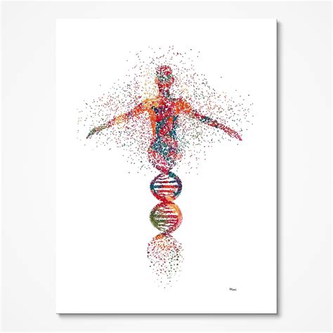 Shop Science Art At Mimiprints Anatomy Art Prints Science Art Prints - Science Art Prints