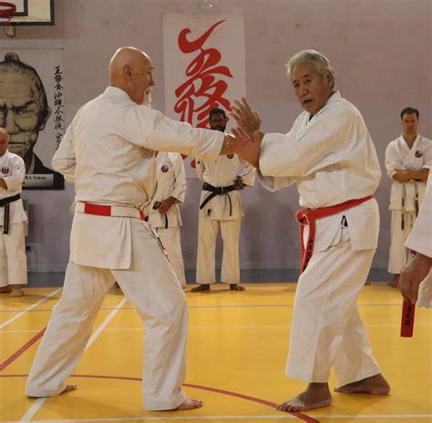 Shorin Ryu