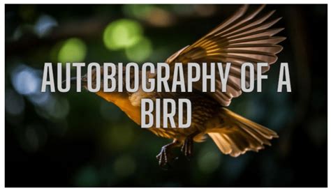 short autobiography of a bird