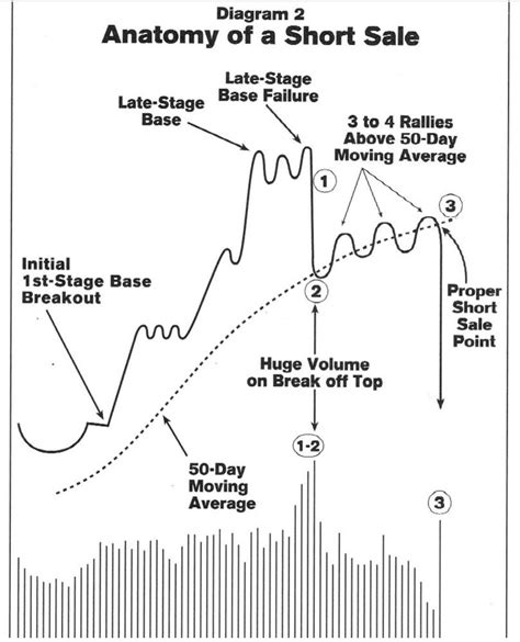 Probably the most widely used charting applica