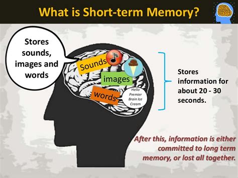 short term memory