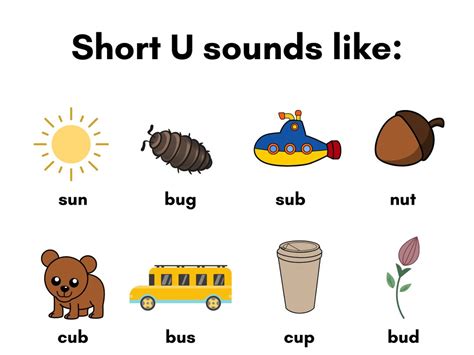 Short U Sounds Word Lists Decodable Passages Amp Short U Sound Wordslist - Short U Sound Wordslist