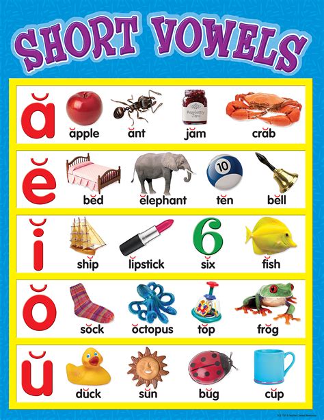 Short Vowel Sounds Picture Word Pocket Booklet Short Vowel Sound Words With Pictures - Short Vowel Sound Words With Pictures