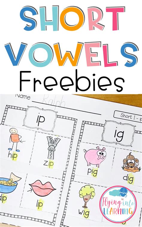 Short Vowel Word Families Picture Sorts Flying Into A Vowel Words With Pictures - A Vowel Words With Pictures