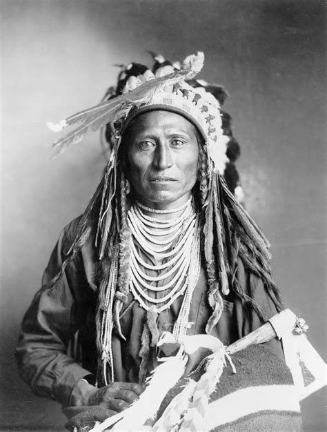 shoshone indians