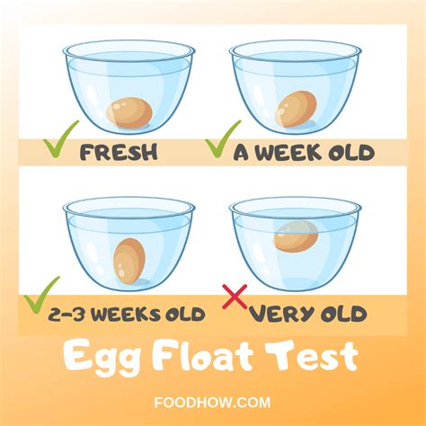 should fresh eggs float