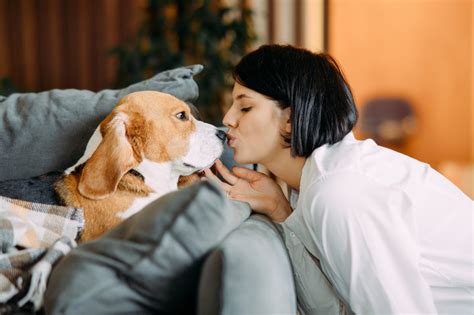 should you kiss your dog on the mouth