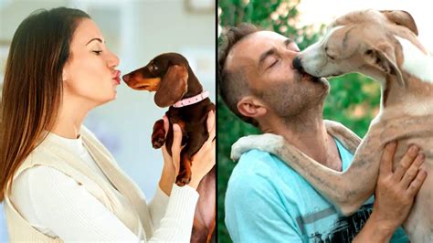 should you kiss your dog on the mouth