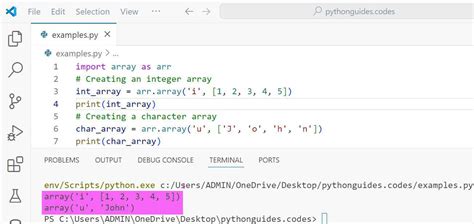 Show Array Python