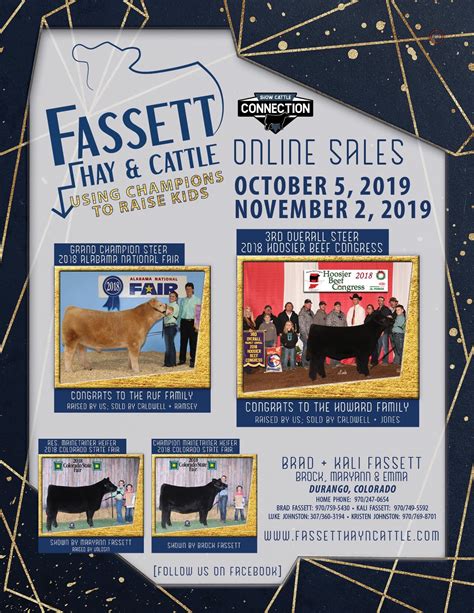 show cattle connection sales
