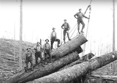 show logging history