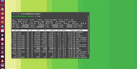 show memory used by process linux