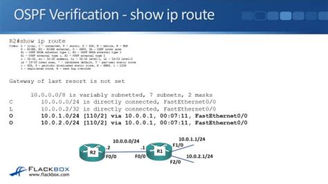show ospf routes