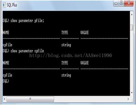 show parameter spfile