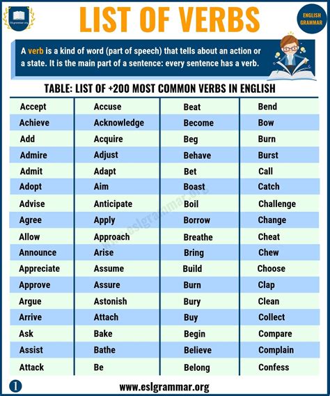 show the verbs
