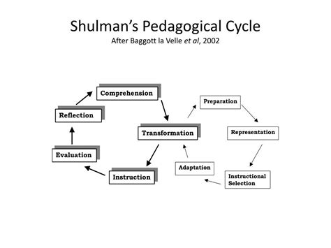 Shulman Skills