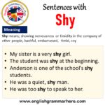 shy in a sentence Sentence examples by Cambridge Dictionary