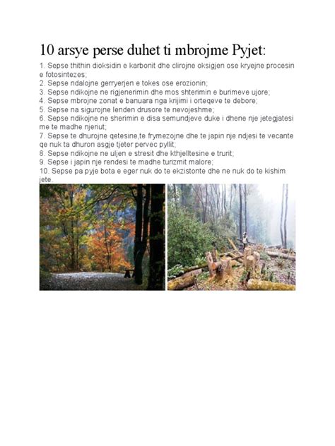 si ti mbrojme pyjet